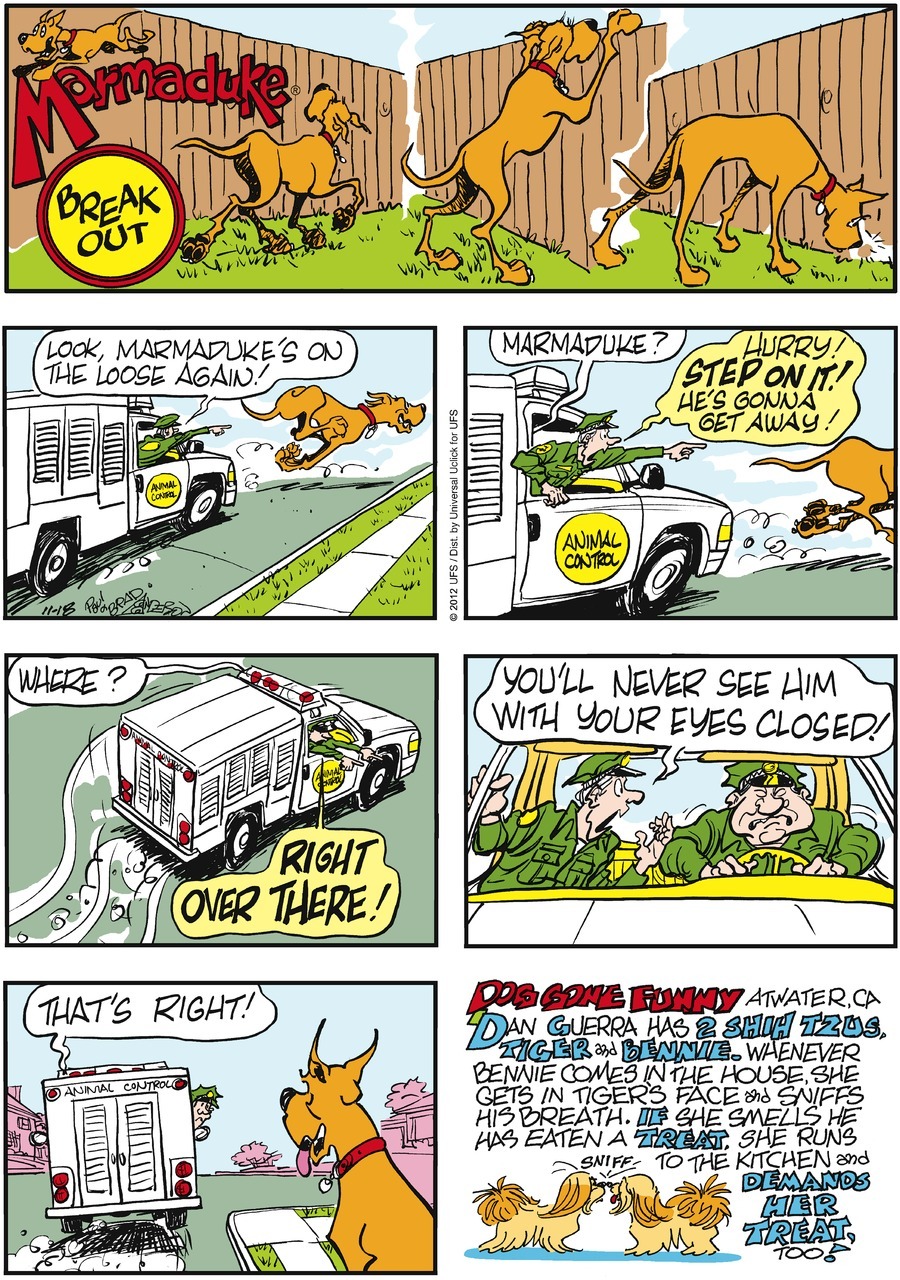 marmaduke